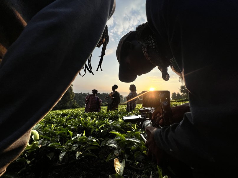 Crew filming tea pickers in a field at sunrise, sun flaring behind them